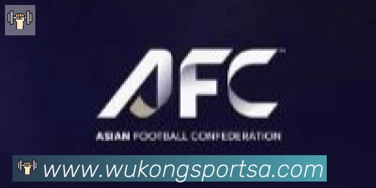 悟空体育合作伙伴