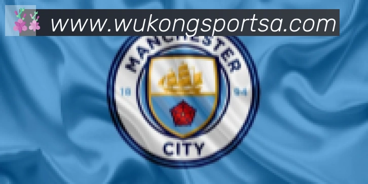 悟空体育合作伙伴