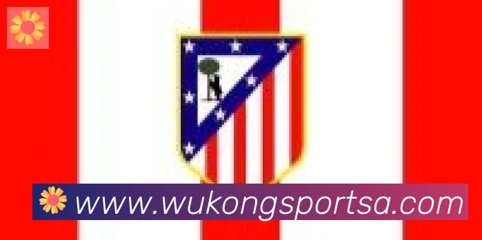 悟空体育合作伙伴